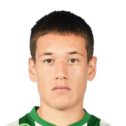 Damir Redzic Face Scan