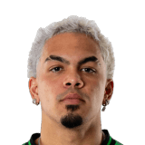 Dani Pereira Face Scan