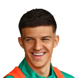 Tarik Muharemović Face Scan