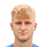 Gabriel Haider Face Scan