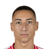 Marin Ljubičić Face Scan