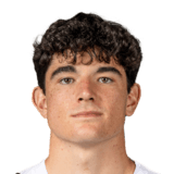 Anselmo García MacNulty Face Scan