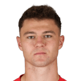 David Skubl Face Scan