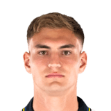 Mateo Pellegrino Face Scan