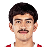 Nicolas Palavecino Face Scan