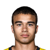 Henrik Skogvold Face Scan