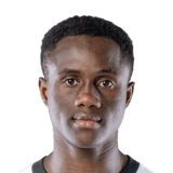 Drissa Camara Face Scan