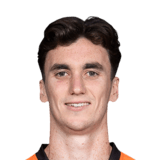 Henry Hore Face Scan