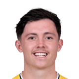 Harry Steele Face Scan