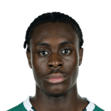 Dikeni Salifou Face Scan