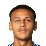 Luca Jaquez Face Scan