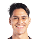 Flabián Londoño Face Scan