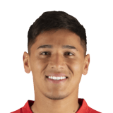 Leandro Lozano Face Scan