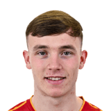 Alex Nolan Face Scan
