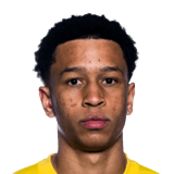 Daniel Bassi Face Scan