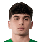 Rodrigo Ribeiro Face Scan