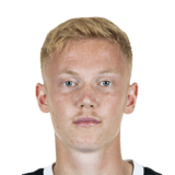 Hugo Larsson Face Scan