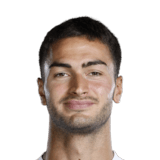 Diego Coppola Face Scan