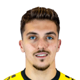 Andrei Gorcea Face Scan