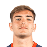Francisco Perruzzi Face Scan