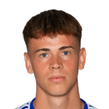 Fabian Wilfinger Face Scan