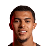 Ryan Andrews Face Scan