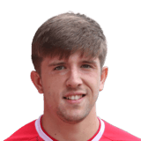 Seb Quirk Face Scan