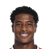 Ryan Flamingo Face Scan