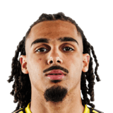 Mohamed Farsi Face Scan