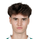 Nikolas Sattlberger Face Scan