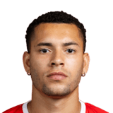 Matheus Pereira Face Scan