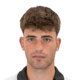 del Cerro Career Mode headshot