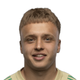 Anton Tsarenko Face Scan
