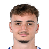 Jakob Knollmüller Face Scan