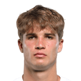 Rokas Pukštas Face Scan