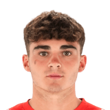 Joel Roca Face Scan