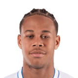 Kévin Danois Face Scan