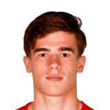 Wouter Goes Face Scan