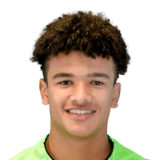Pierce Charles Face Scan