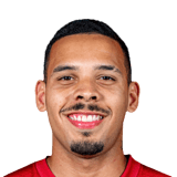 Gabriel Pereira Face Scan