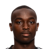 Nimfasha Berchimas Face Scan