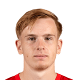 Mats Rots Face Scan