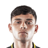 Nahuel Herrera Face Scan
