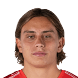 Tommaso Martinelli Face Scan