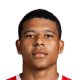 Vinícius Lopes Face Scan