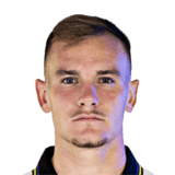 Matija Frigan Face Scan
