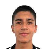 Martín Araya Face Scan
