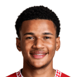 Fally Mayulu Face Scan