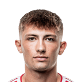 Tobias Lauritsen Face Scan