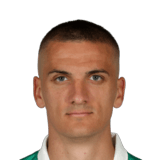 Nenad Cvetković Face Scan